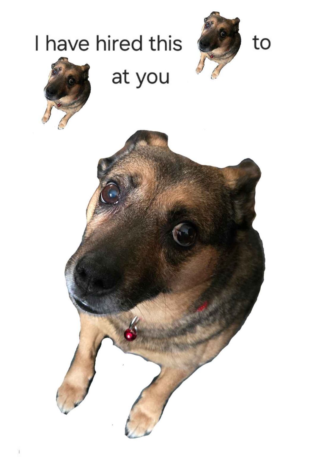 i have hired this thing to thing at you